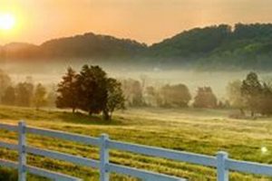 Dyersburg Farm Bureau: Local Ag Support & Resources | The Conscious Farmer | Sustainable Agriculture for a Healthier Planet