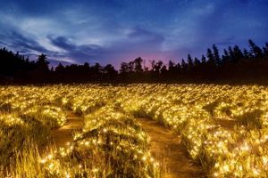 Find Hotels Near 123 Farm: Best Deals & Stays | The Conscious Farmer | Sustainable Agriculture for a Healthier Planet
