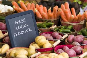 Find: Bountiful Farms Near Me For Fresh Food Now | The Conscious Farmer | Sustainable Agriculture for a Healthier Planet