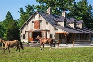 Find Horse Farm Jobs Near Me: Local Openings Await! | The Conscious Farmer | Sustainable Agriculture for a Healthier Planet