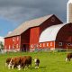 Find Farms Near Me Free: Explore Local Agriculture! | The Conscious Farmer | Sustainable Agriculture for a Healthier Planet