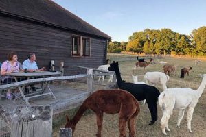 Find: Farm Stays Near Me Today - Book Now! | The Conscious Farmer | Sustainable Agriculture for a Healthier Planet