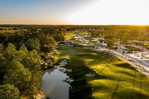 Best Hotels Near Cabot Citrus Farms: Your [Location] Guide | The Conscious Farmer | Sustainable Agriculture for a Healthier Planet