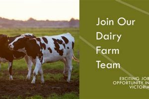 Find Local Dairy Farm Jobs Near Me: Milk Your Career! | The Conscious Farmer | Sustainable Agriculture for a Healthier Planet