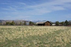 Find Farms to Rent Near Me: Your Local Guide | The Conscious Farmer | Sustainable Agriculture for a Healthier Planet