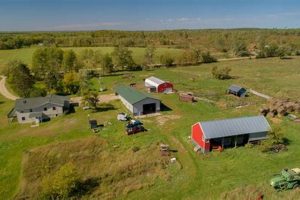 Find Small Farms for Rent Near Me: Your Local Guide | The Conscious Farmer | Sustainable Agriculture for a Healthier Planet