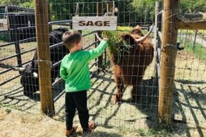 Find: Kid Friendly Farms Near Me For Fun! | The Conscious Farmer | Sustainable Agriculture for a Healthier Planet