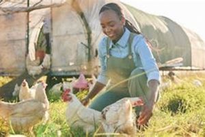 Local Farm Sitter Near Me: Find Farm Help Now! | The Conscious Farmer | Sustainable Agriculture for a Healthier Planet