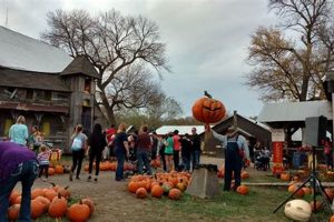 Find Hotels Near Roca Berry Farm for Family Fun | The Conscious Farmer | Sustainable Agriculture for a Healthier Planet