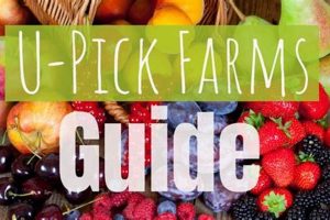 Find a Local U-Pick Vegetables Farm Near Me: [Season] Deals! | The Conscious Farmer | Sustainable Agriculture for a Healthier Planet
