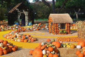 Find a Pumpkin Farm Birthday Party Near Me: Celebrate Fall! | The Conscious Farmer | Sustainable Agriculture for a Healthier Planet