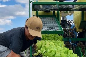 Local Farm Jobs Near Me: Find Agriculture Work Now! | The Conscious Farmer | Sustainable Agriculture for a Healthier Planet