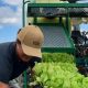 Local Farm Jobs Near Me: Find Agriculture Work Now! | The Conscious Farmer | Sustainable Agriculture for a Healthier Planet