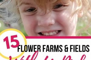 Find: U-Pick Flower Farm Near Me For Fresh Blooms! | The Conscious Farmer | Sustainable Agriculture for a Healthier Planet