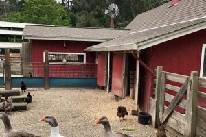 Find Dog Friendly Farms Near Me: Paws Awaits! | The Conscious Farmer | Sustainable Agriculture for a Healthier Planet