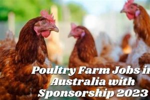 Local Poultry Farm Jobs Near Me: Your Farm Career Awaits! | The Conscious Farmer | Sustainable Agriculture for a Healthier Planet