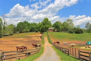 Find Horse Farms Near Me For Sale: Your Dream Awaits | The Conscious Farmer | Sustainable Agriculture for a Healthier Planet