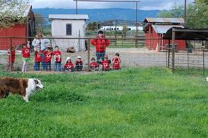 Find Farm Field Trips Near Me: Local Ag Adventures | The Conscious Farmer | Sustainable Agriculture for a Healthier Planet