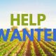 Local Farm Help Needed Near Me: Find Hands Now! | The Conscious Farmer | Sustainable Agriculture for a Healthier Planet