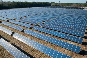 Find Solar Panel Farms Near Me: Local & Green Power | The Conscious Farmer | Sustainable Agriculture for a Healthier Planet