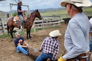 Local Farm Hands Needed: Find Farm Work Near Me | The Conscious Farmer | Sustainable Agriculture for a Healthier Planet