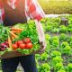 Find: Organic Food Farms Near Me (Local & Fresh!) | The Conscious Farmer | Sustainable Agriculture for a Healthier Planet