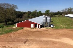 Find Local Poultry Farms for Sale Near Me Today! | The Conscious Farmer | Sustainable Agriculture for a Healthier Planet