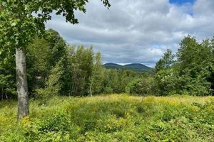 Find Prime Farm Land Near Me For Sale Today! | The Conscious Farmer | Sustainable Agriculture for a Healthier Planet