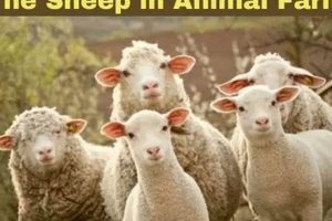 Sheep Animal Farm: An Allegory of Control & Power | The Conscious Farmer | Sustainable Agriculture for a Healthier Planet