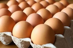 Find Farm Fresh Eggs Near Me: Your Local Guide | The Conscious Farmer | Sustainable Agriculture for a Healthier Planet