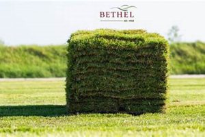 Find Bethel Farms Near Me: Fresh Local Produce! | The Conscious Farmer | Sustainable Agriculture for a Healthier Planet