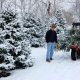 Find Your Perfect Tree: Lexington KY Christmas Tree Farms | The Conscious Farmer | Sustainable Agriculture for a Healthier Planet
