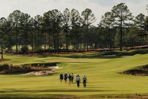 Discover the Tree Farm Golf Course: A Unique Green Escape | The Conscious Farmer | Sustainable Agriculture for a Healthier Planet