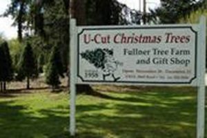 Fullner Christmas Tree Farm: Your Holiday Tree Awaits! | The Conscious Farmer | Sustainable Agriculture for a Healthier Planet