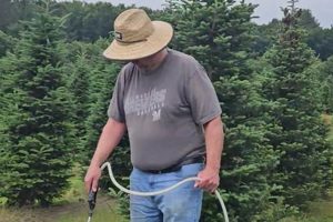 Visit Wagner Tree Farm: Christmas Trees & More! | The Conscious Farmer | Sustainable Agriculture for a Healthier Planet