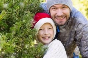 Knoxville, TN Christmas Tree Farms: Find Your Perfect Tree! | The Conscious Farmer | Sustainable Agriculture for a Healthier Planet
