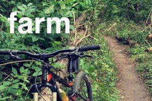 Visit Novi Tree Farm: Your Local Tree Experts | The Conscious Farmer | Sustainable Agriculture for a Healthier Planet