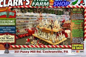 Find Your Perfect Tree at Clarks Christmas Tree Farm &amp; Gifts | The Conscious Farmer | Sustainable Agriculture for a Healthier Planet