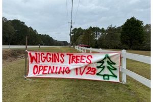 Wiggins Tree Farm: Cut Your Own Christmas Tree Here! | The Conscious Farmer | Sustainable Agriculture for a Healthier Planet