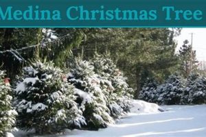 Visit Medina Tree Farm: Your Local Tree Experts | The Conscious Farmer | Sustainable Agriculture for a Healthier Planet