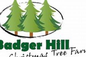 Discover Badger Tree Farm: Your Local Tree Experts! | The Conscious Farmer | Sustainable Agriculture for a Healthier Planet