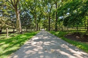Accessing Tree Farms: Tree Farm Lane Essentials Guide | The Conscious Farmer | Sustainable Agriculture for a Healthier Planet