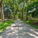 Accessing Tree Farms: Tree Farm Lane Essentials Guide | The Conscious Farmer | Sustainable Agriculture for a Healthier Planet
