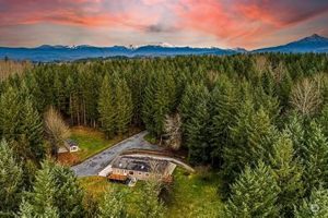 Visit Pilchuck Tree Farm: Your Perfect Christmas Tree | The Conscious Farmer | Sustainable Agriculture for a Healthier Planet