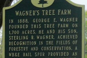 Visit Wagner's Tree Farm: Your Holiday Tree Source! | The Conscious Farmer | Sustainable Agriculture for a Healthier Planet