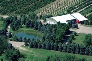 Find Your Perfect Tree: Christmas Tree Farm Lakeville Guide | The Conscious Farmer | Sustainable Agriculture for a Healthier Planet