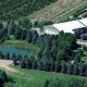 Find Your Perfect Tree: Christmas Tree Farm Lakeville Guide | The Conscious Farmer | Sustainable Agriculture for a Healthier Planet