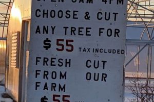 Grow Your Dzen: Dzen Tree Farm Tips & Benefits | The Conscious Farmer | Sustainable Agriculture for a Healthier Planet
