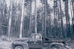 Explore Port Blakely Tree Farms: History & Today | The Conscious Farmer | Sustainable Agriculture for a Healthier Planet