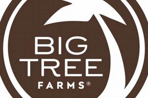 Growing Big Tree Farm Trees: Tips & Guide | The Conscious Farmer | Sustainable Agriculture for a Healthier Planet